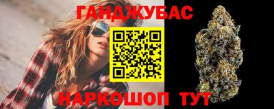 Альфа ПВП Моздок