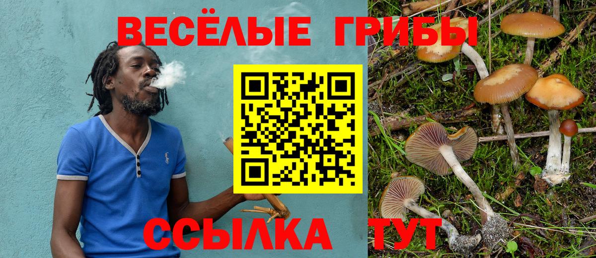 Псилоцибиновые грибы мухоморы  Вход с VPN  где купить   Тобольск 